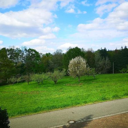 Ein Appartement Und Ein Komfortzimmer In Malsch, Zwischen Karlsruhe, Rastatt Und Baden-Baden Malsch  Buitenkant foto