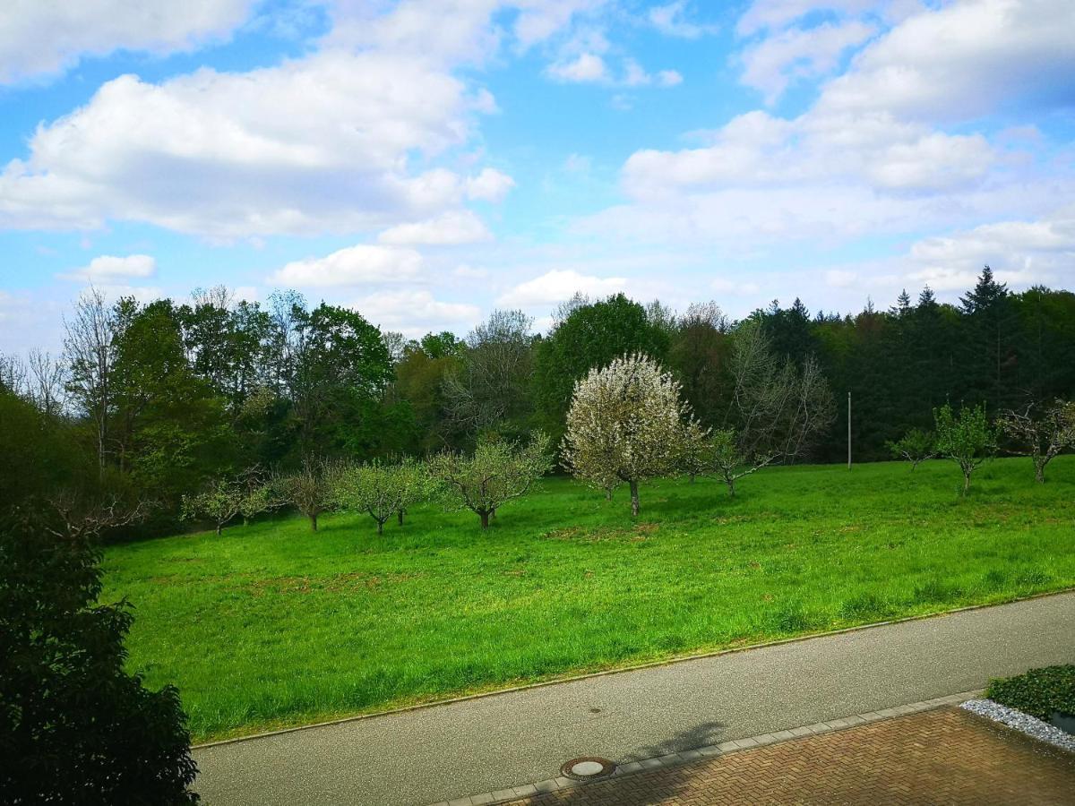 Ein Appartement Und Ein Komfortzimmer In Malsch, Zwischen Karlsruhe, Rastatt Und Baden-Baden Malsch  Buitenkant foto